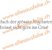 Auch der grösste Vegetarier beisst nicht gern ins Gras!