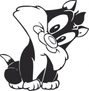 Katze 3