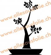 Bonsai