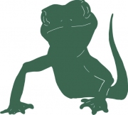 Frosch 4