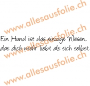 Ein Hund ist das einzige Wesen, das dich mehr liebt als sich sel