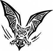 Fledermaus 2