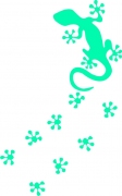 Geko 2