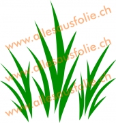 Gras