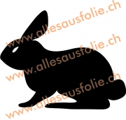 Hase 2
