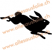 Hase