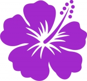 Hawaiiblume 1