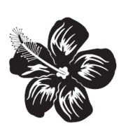Hawaiiblume 2