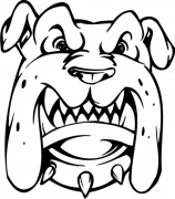 Hund