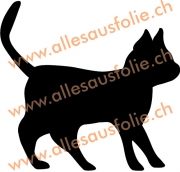 Katze 2