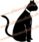 Katze
