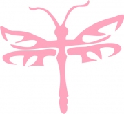 Libelle 2