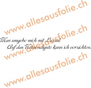Man umgebe mich mit Luxus! Auf das Notwendigste kann ich verzich