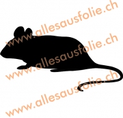 Maus