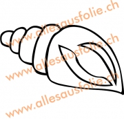 Muschel
