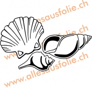 Muscheln