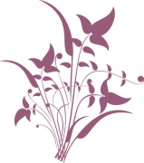 Pflanze 12