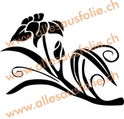 Pflanze 26