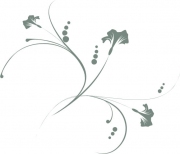 Pflanze 5