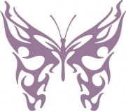 Schmetterling 8