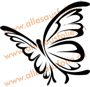 Schmetterling 5