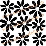 Set 13