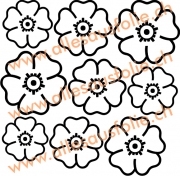 Set 6
