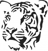 Tiger 2