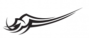 Tribal 21