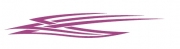 Tribal 25