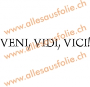VENI, VIDI, VICI!