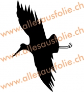 Vogel 5