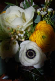 Blume 101