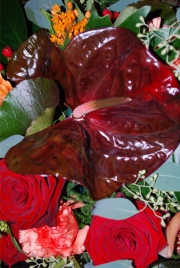 Blume 107