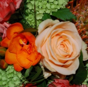 Blume 10