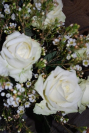 Blume 116