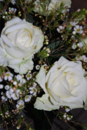 Blume 117