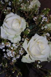 Blume 118