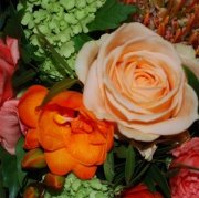 Blume 11