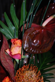 Blume 126