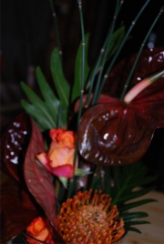Blume 127
