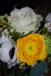 Blume 128