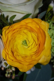 Blume 129