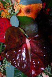 Blume 134