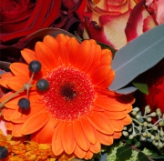 Blume 14