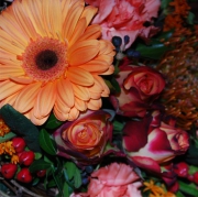 Blume 15