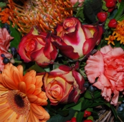 Blume 16