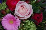 Blume 204