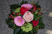 Blume 205