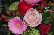Blume 207